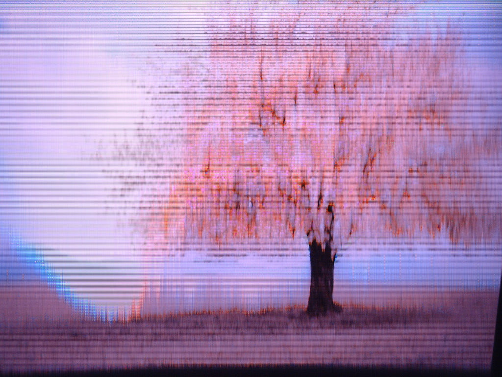 Circuit Bent Fujifilm A210 Camera