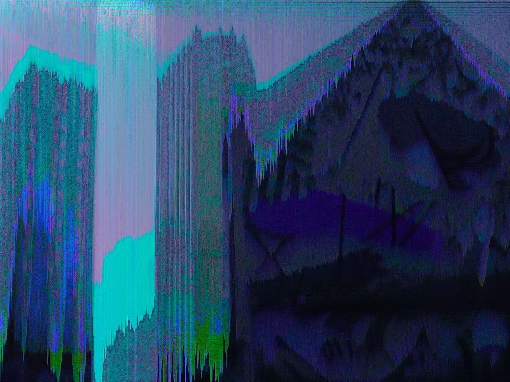 Circuit Bent Sony Mavica FD200 Camera (Full Kit)